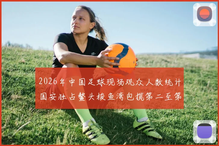 2026年中国足球现场观众人数统计国安独占鳌头梭鱼湾包揽第二至第七位